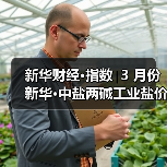 新华财经•指数∣3 月份新华•中盐两碱工业盐价格指数微幅上扬(图1) 新华财经•指数∣3 月份新华•中盐两碱工业盐价格指数微幅上扬(图1)