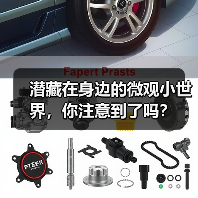 潜藏在身边的微观小世界,你注意到了吗?(图1) 潜藏在身边的微观小世界,你注意到了吗?(图1)