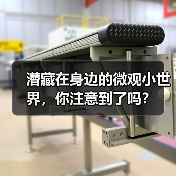 潜藏在身边的微观小世界,你注意到了吗?(图1) 潜藏在身边的微观小世界,你注意到了吗?(图1)