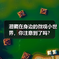 潜藏在身边的微观小世界,你注意到了吗?(图2) 潜藏在身边的微观小世界,你注意到了吗?(图2)