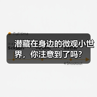 潜藏在身边的微观小世界,你注意到了吗?(图4) 潜藏在身边的微观小世界,你注意到了吗?(图4)