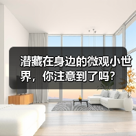 潜藏在身边的微观小世界,你注意到了吗?(图3) 潜藏在身边的微观小世界,你注意到了吗?(图3)
