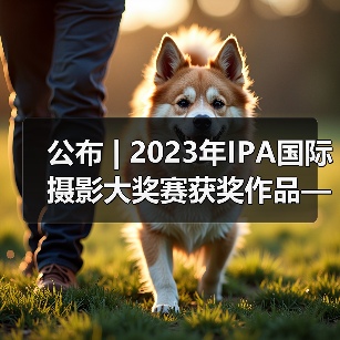 公布 | 2023年IPA国际摄影大奖赛获奖作品——非专业组-特殊类（图2）