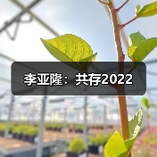 李亚隆：共存2022（图1）