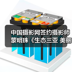中国摄影网签约摄影师蒙明珠《生态三亚 美丽三亚》(图2) 中国摄影网签约摄影师蒙明珠《生态三亚 美丽三亚》(图2)