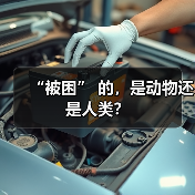 “被困” 的,是动物还是人类?(图1) “被困” 的,是动物还是人类?(图1)