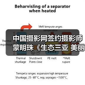 中国摄影网签约摄影师蒙明珠《生态三亚 美丽三亚》(图3) 中国摄影网签约摄影师蒙明珠《生态三亚 美丽三亚》(图3)