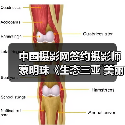 中国摄影网签约摄影师蒙明珠《生态三亚 美丽三亚》(图4) 中国摄影网签约摄影师蒙明珠《生态三亚 美丽三亚》(图4)