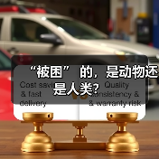 “被困” 的,是动物还是人类?(图2) “被困” 的,是动物还是人类?(图2)