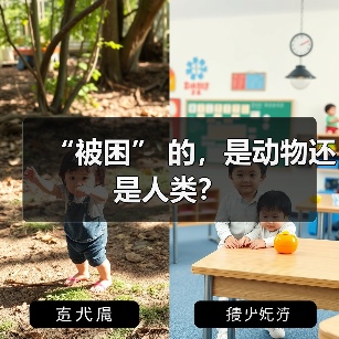 “被困” 的,是动物还是人类?(图3) “被困” 的,是动物还是人类?(图3)