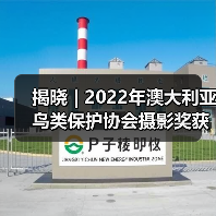 揭晓 | 2022年澳大利亚鸟类保护协会摄影奖获奖作品公布(图1) 揭晓 | 2022年澳大利亚鸟类保护协会摄影奖获奖作品公布(图1)