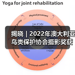 揭晓 | 2022年澳大利亚鸟类保护协会摄影奖获奖作品公布(图2) 揭晓 | 2022年澳大利亚鸟类保护协会摄影奖获奖作品公布(图2)