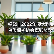 揭晓 | 2022年澳大利亚鸟类保护协会摄影奖获奖作品公布(图4) 揭晓 | 2022年澳大利亚鸟类保护协会摄影奖获奖作品公布(图4)