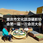 重庆市文化旅游摄影协会第一届一次会员大会暨成立大会成功召开（图4）