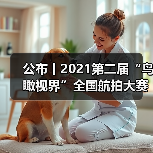 公布丨2021第二届“鸟瞰视界”全国航拍大赛获奖作品——特等奖(图2) 公布丨2021第二届“鸟瞰视界”全国航拍大赛获奖作品——特等奖(图2)