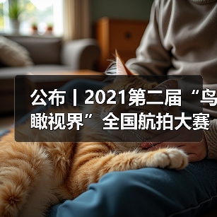 公布丨2021第二届“鸟瞰视界”全国航拍大赛获奖作品——特等奖(图1) 公布丨2021第二届“鸟瞰视界”全国航拍大赛获奖作品——特等奖(图1)