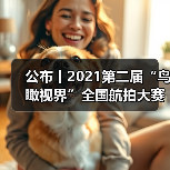 公布丨2021第二届“鸟瞰视界”全国航拍大赛获奖作品——特等奖(图3) 公布丨2021第二届“鸟瞰视界”全国航拍大赛获奖作品——特等奖(图3)