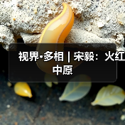 视界·多相 | 宋毅:火红中原(图2) 视界·多相 | 宋毅:火红中原(图2)