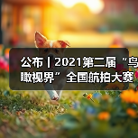 公布丨2021第二届“鸟瞰视界”全国航拍大赛获奖作品——特等奖(图4) 公布丨2021第二届“鸟瞰视界”全国航拍大赛获奖作品——特等奖(图4)