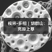 视界·多相 | 胡群山:离离原上草(图4) 视界·多相 | 胡群山:离离原上草(图4)