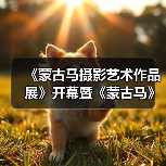 《蒙古马摄影艺术作品展》开幕暨《蒙古马》画册首发式在深圳美术馆隆重开幕（图4）