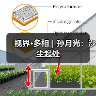 视界·多相 | 孙月光：沙尘起处（图4）