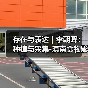 存在与表达 | 李朝晖：种植与采集-滇南食物影像考察（图4）