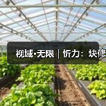 视域·无限 | 忻力：块修（图3）