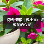 视域·无限 | 倪士杰:被模糊的心灵(图4) 视域·无限 | 倪士杰:被模糊的心灵(图4)