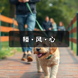 幡 · 风 · 心(图2) 幡 · 风 · 心(图2)
