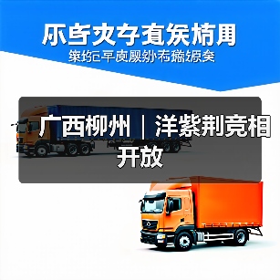 广西柳州|洋紫荆竞相开放(图1) 广西柳州|洋紫荆竞相开放(图1)