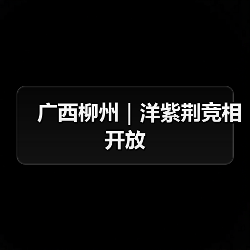 广西柳州|洋紫荆竞相开放(图3) 广西柳州|洋紫荆竞相开放(图3)