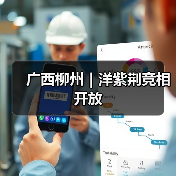 广西柳州|洋紫荆竞相开放(图4) 广西柳州|洋紫荆竞相开放(图4)