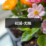 视域·无限(图1) 视域·无限(图1)