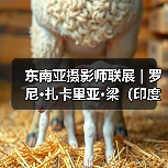 东南亚摄影师联展 | 罗尼•扎卡里亚•梁(印度尼西亚):人与山脉和海洋(图1) 东南亚摄影师联展 | 罗尼•扎卡里亚•梁(印度尼西亚):人与山脉和海洋(图1)