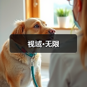 视域·无限(图4) 视域·无限(图4)