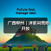 广西柳州|洋紫荆竞相开放(图3) 广西柳州|洋紫荆竞相开放(图3)