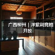 广西柳州|洋紫荆竞相开放(图4) 广西柳州|洋紫荆竞相开放(图4)