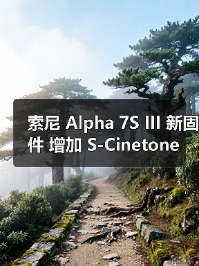 索尼 Alpha 7S III 新固件 增加 S-Cinetone 色彩模式和 S&Q 增强防抖设定(图2) 索尼 Alpha 7S III 新固件 增加 S-Cinetone 色彩模式和 S&Q 增强防抖设定(图2)