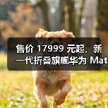 售价 17999 元起，新一代折叠旗舰华为 Mate X2 发布（图1）