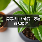 周章相 | 卜仲丽：万物静默如谜（图1）