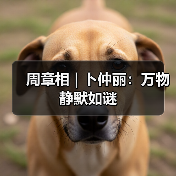 周章相 | 卜仲丽：万物静默如谜（图2）
