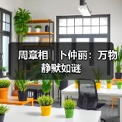 周章相 | 卜仲丽：万物静默如谜（图3）
