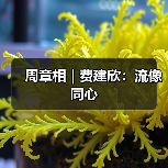 周章相 | 费建欣:流像同心(图4) 周章相 | 费建欣:流像同心(图4)