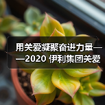 用关爱凝聚奋进力量——2020 伊利集团关爱员工暖心故事纪实(图2) 用关爱凝聚奋进力量——2020 伊利集团关爱员工暖心故事纪实(图2)