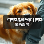 红西凤品牌故事 | 西凤酒的温度(图2) 红西凤品牌故事 | 西凤酒的温度(图2)