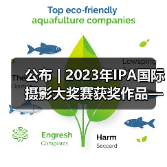 公布 | 2023年IPA国际摄影大奖赛获奖作品——非专业组-自然类（图3）