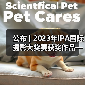 公布 | 2023年IPA国际摄影大奖赛获奖作品——非专业组-人像类(图1) 公布 | 2023年IPA国际摄影大奖赛获奖作品——非专业组-人像类(图1)