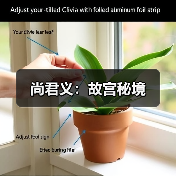 尚君义:故宫秘境(图2) 尚君义:故宫秘境(图2)