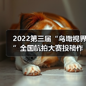 2022第三届“鸟瞰视界”全国航拍大赛投稿作品精选（65）（图2）